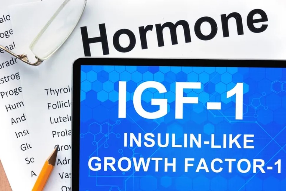 insulin IGF-1