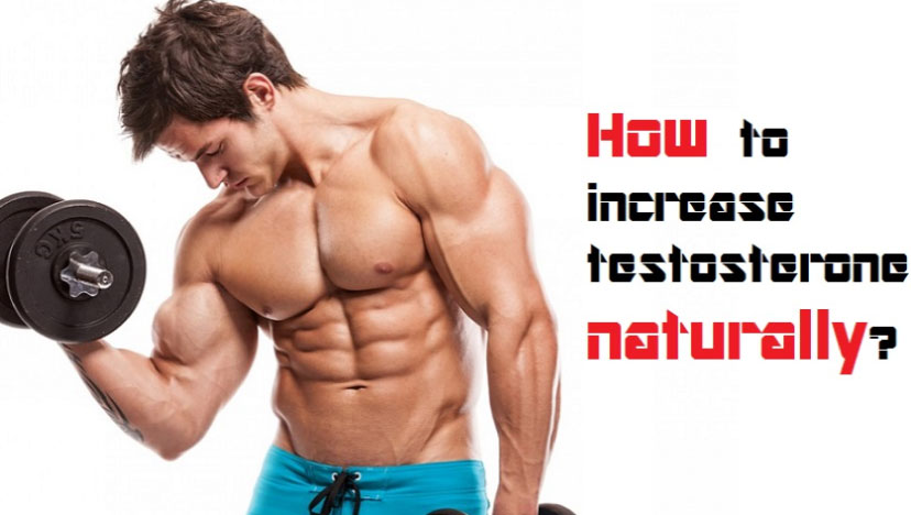 increase testosterone secretion